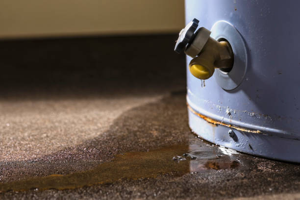 Best Water damage mitigation services  in Carney, MD