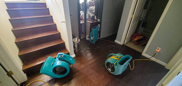 Best Water damage contractors near me  in Carney, MD