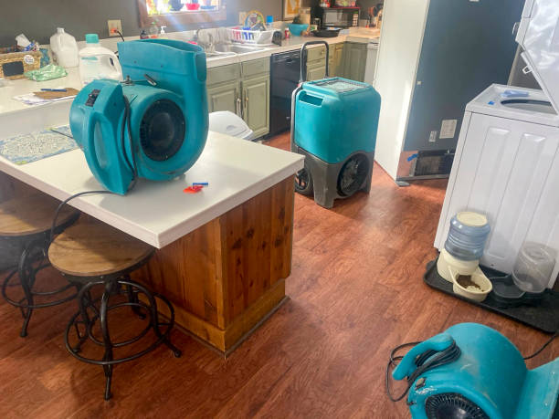 Best Mold removal after water damage  in Carney, MD