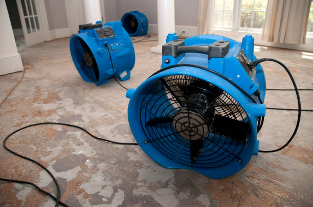 Best Residential water damage restoration  in Carney, MD