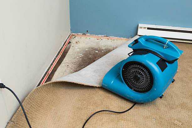 Water damage restoration mold remediation in Carney, MD